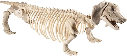 Smiffys Bassotto cane scheletro prop