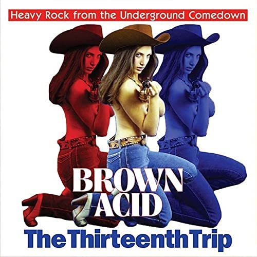 Brown Acid: The Thirteenth Trip [Audio-CD]