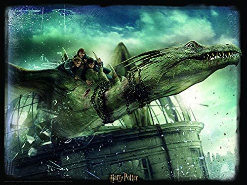 Harry Potter Norbert und Hermoine Granger 3D-Puzzle, 500 Teile, mehrfarbig
