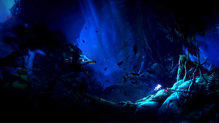 Ori and The Will of The Wisps (Nintendo Switch)