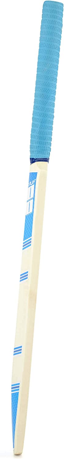 PowerPlay BG888 Deluxe Cricket Set with Cricket Bat, Ball, 4 Stumps, Bails and Bag, Size 3 Bat, blue