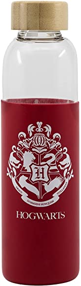 Stor Young Adult Glasflasche mit Silikonhülle 585 ml Harry Potter