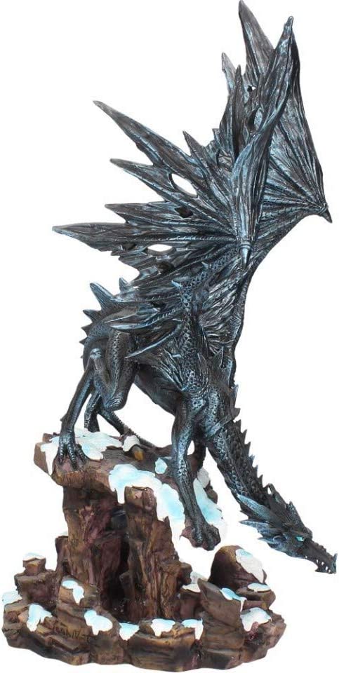 Nemesis Now Dragons Wisdom Figur 35cm Schwarz