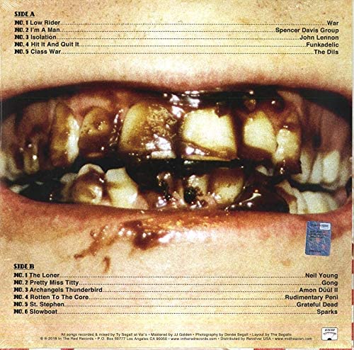 Ty Segall – Fudge Sandwich [Vinyl]