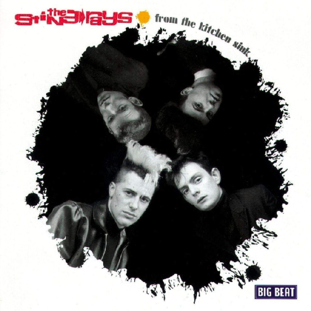 The Stingrays - From the Kitchen Sink [Audio CD]