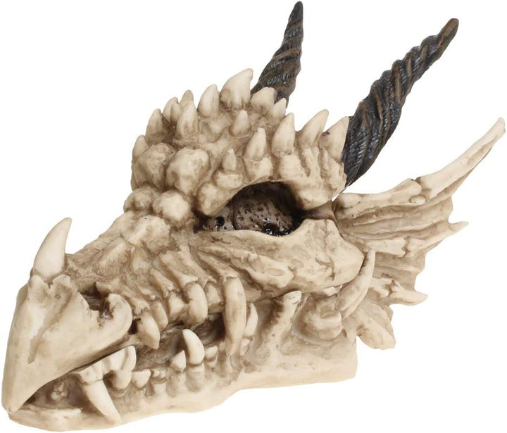 Nemesis Now AL50057 Dragon Skull Box 15cm Ivory