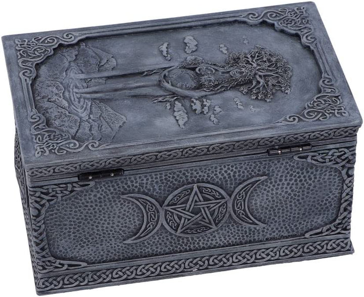 Nemesis Now Mother Earth Box, Grau, 15,5 cm