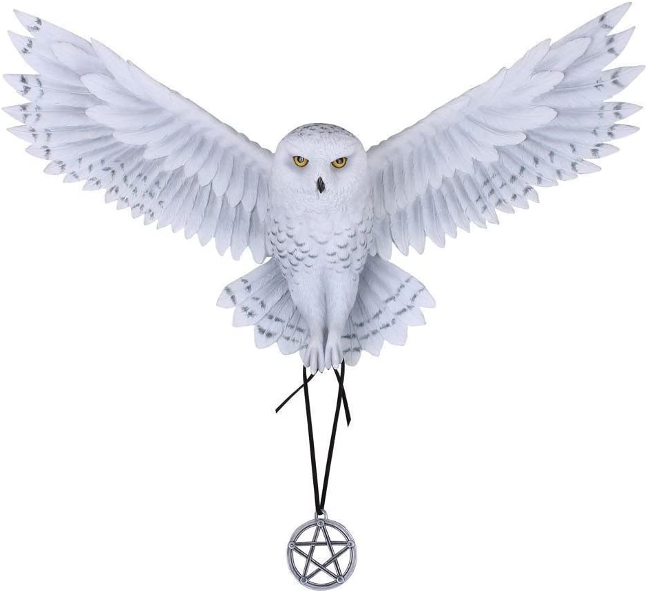 Nemesis Now Anne Stokes Awaken Your Magic Schneeeule Wandschild, Kunstharz, Weiß