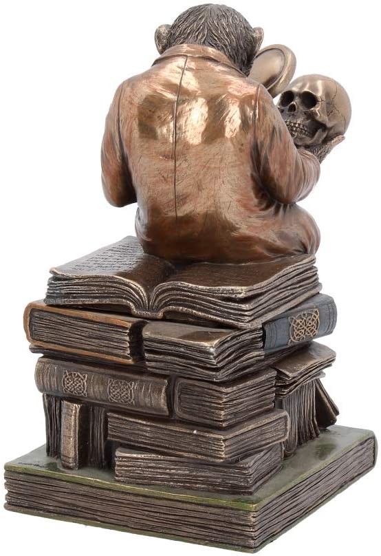 Nemesis Now Darwinism of Evolutionary Theory Box 17,5 cm Bronze, Harz