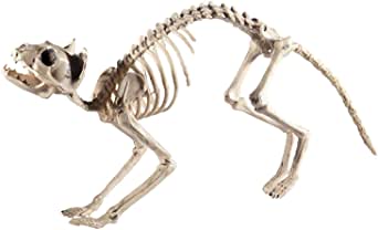 Smiffys Cat Squelette Prop