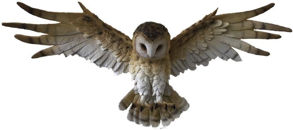 Nemesis Now Wisdom Flight Owl Wandschild, 54,5 cm, Braun