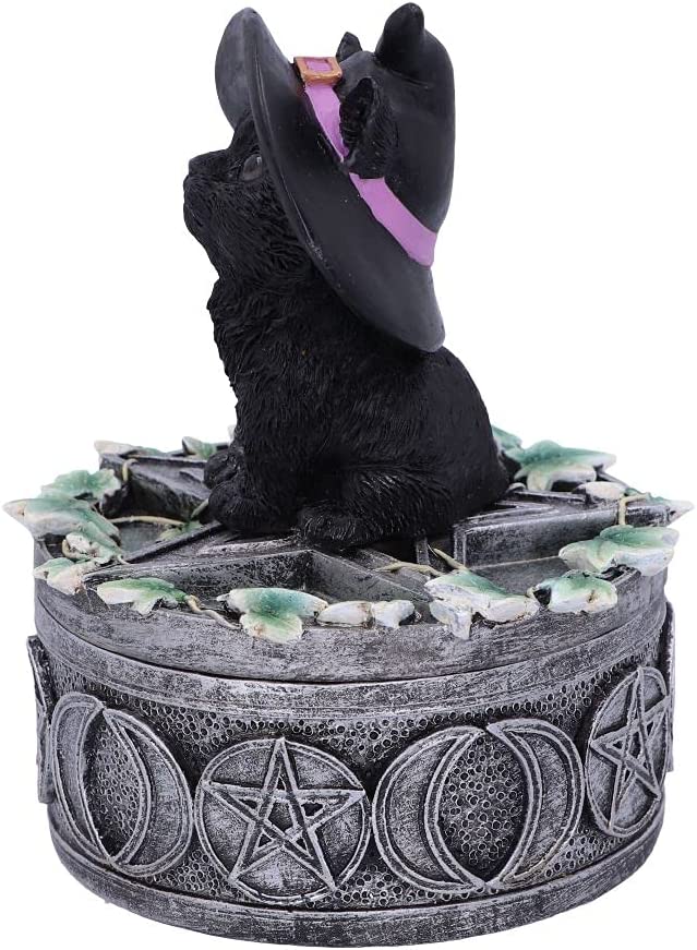 Nemesis Now Ivy Familiar Box Cat Figurine 15cm, Black