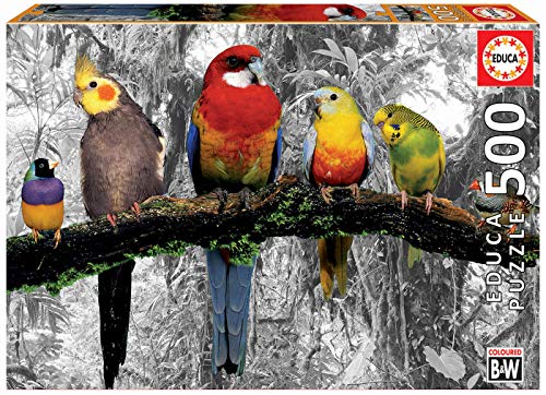 Educa Borras – Coloured B&amp;W Series Puzzle 500 Teile Vögel im Dschungel (17984)