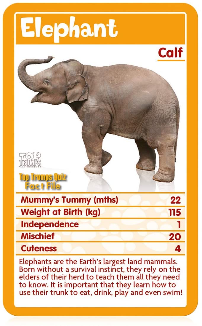 Baby Animals Top Trumps Card Game