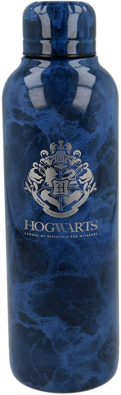 Stor Young Adult Isolierte Edelstahlflasche 515 ml Harry Potter