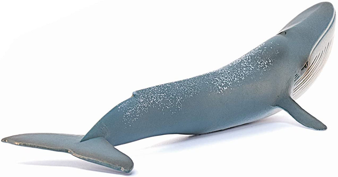 Schleich 14806 balena blu