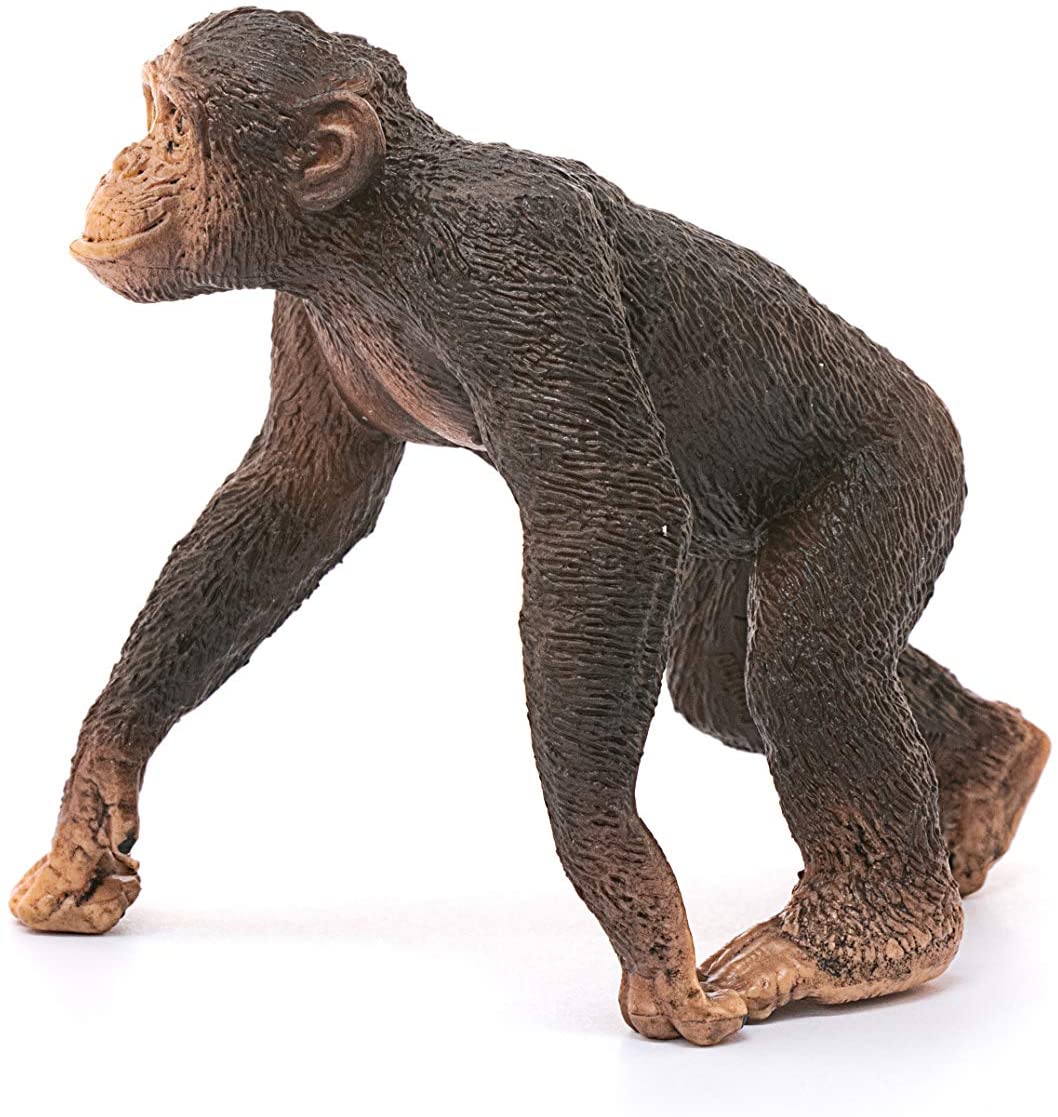 Schleich 14817 Chimpanzee, Male