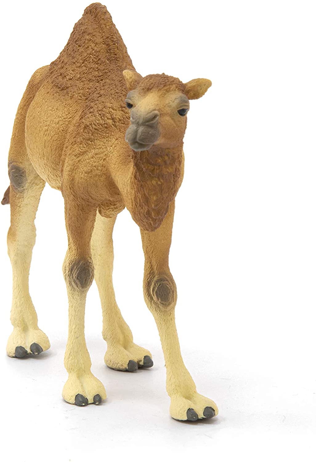 Schleich 14832 Dromedar Wildes Leben