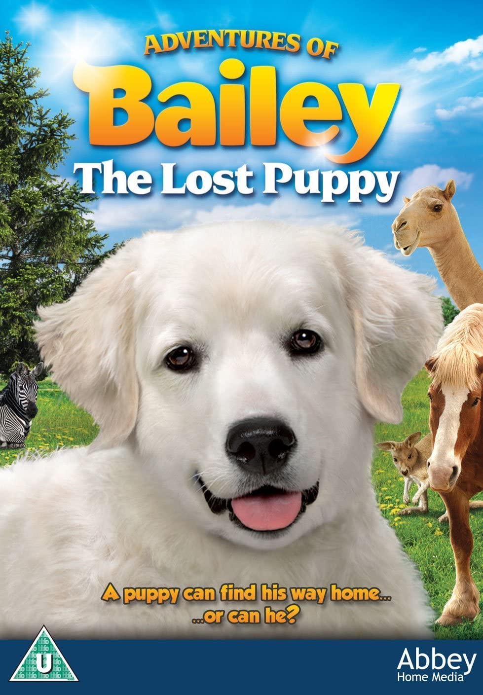 Abenteuer von Bailey: Der verlorene Welpe