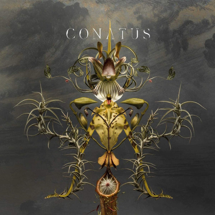 Joep Beving – Conatus [Vinyl]