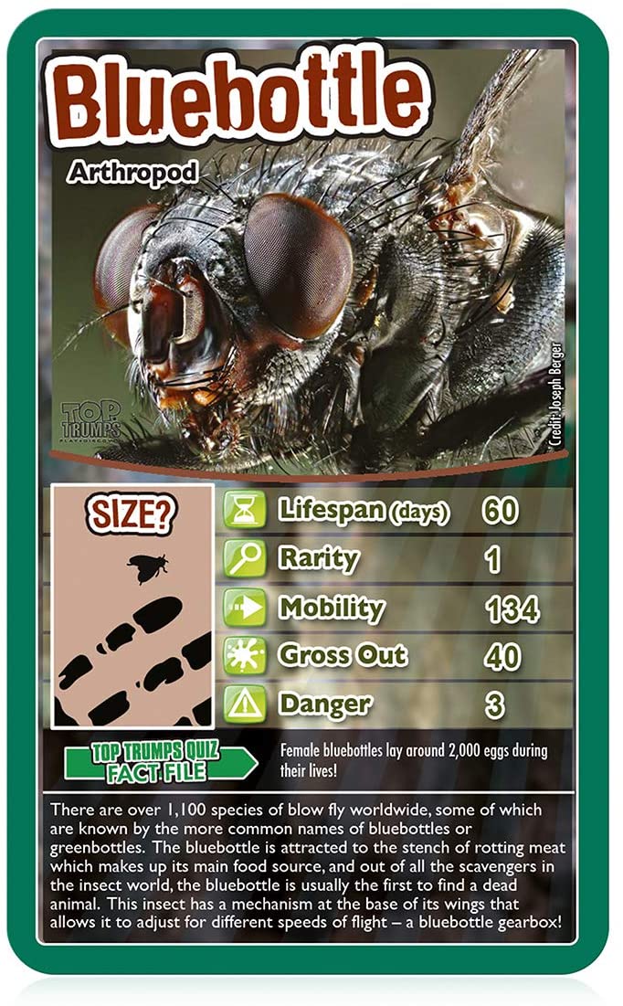 Bugs Top Trumps Card Game