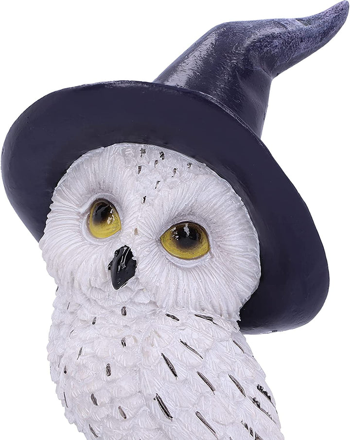 Nemesis Now Owl's Charm 21cm, White