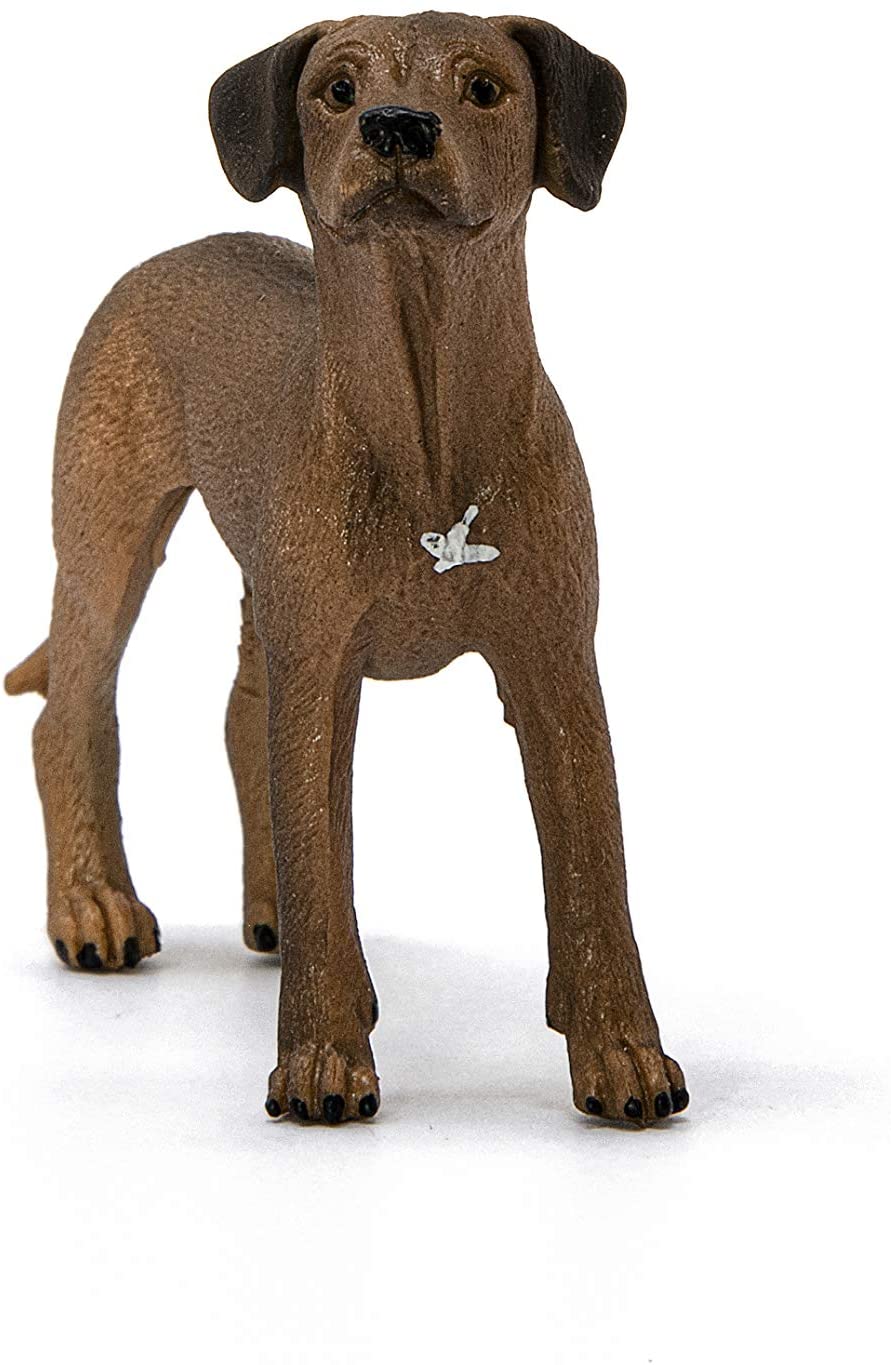 Schleich 13895 Rhodesian Ridgeback Farm Welt