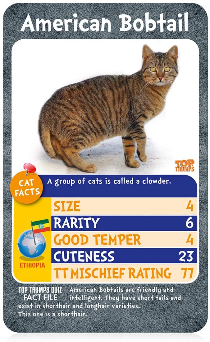 Katzen: „Wer ist am schelmischsten?“ Top-Trumps-Kartenspiel