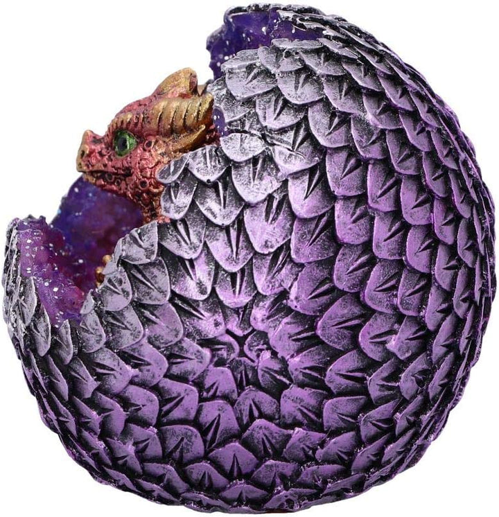 Nemesis Now U4999R0 Red Geode Home Glittering Hatchling and Egg Figurine, Polyre