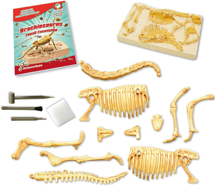 Science4you – Brachiosaurus-Fossilien-Grabset für Kinder ab 6 Jahren – Ausgraben und Zusammenbauen