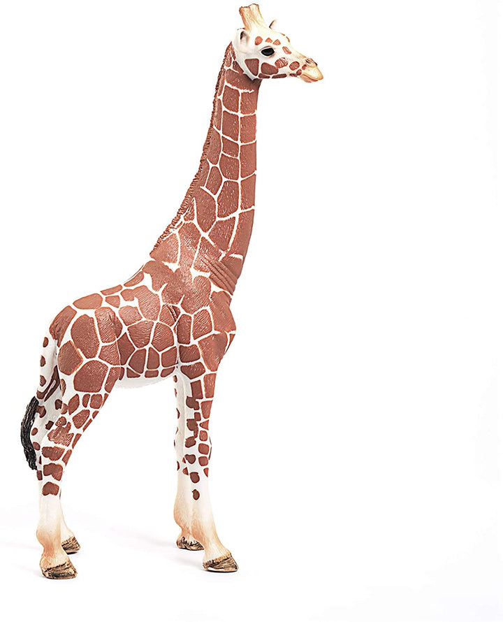 Schleich 14750 14750-Jirafa de la vida salvaje