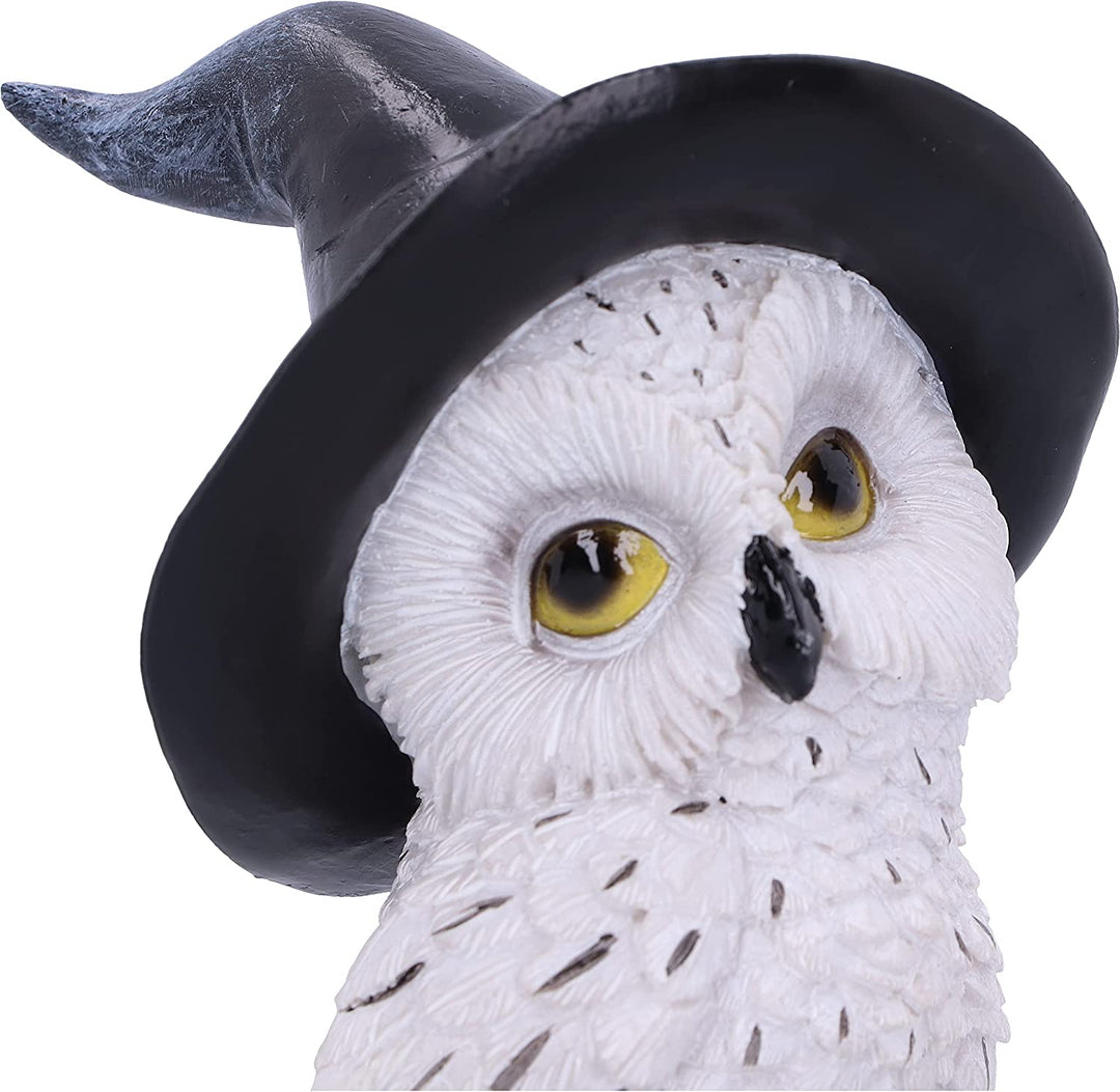 Nemesis Now Owl's Talisman 21cm, White