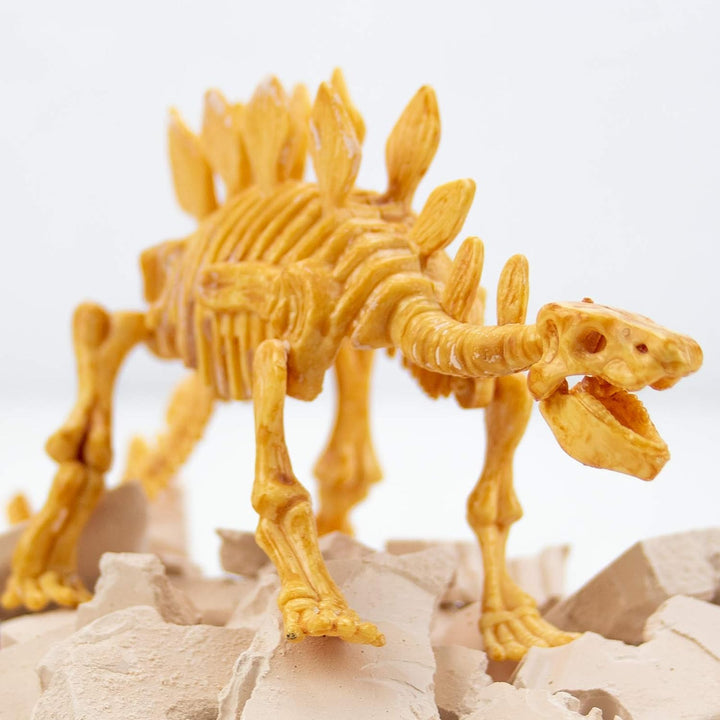 Science4you – Stegosaurus-Fossilien-Grabset für Kinder ab 6 Jahren – Ausgraben und zusammenbauen