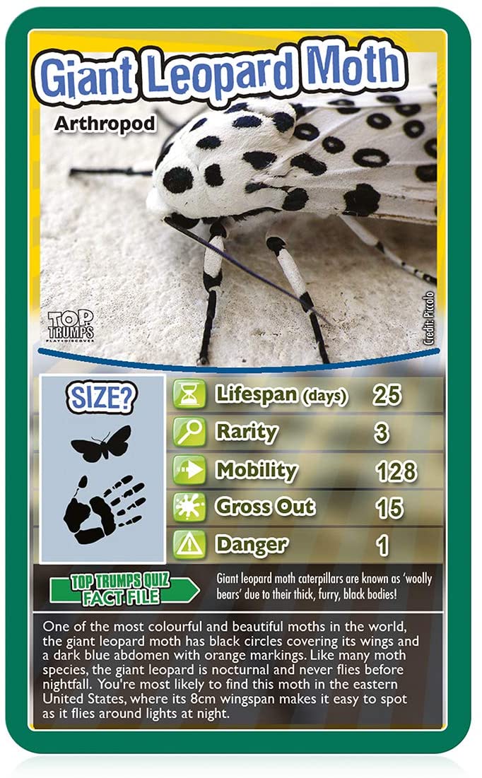 Bugs Top Trumps Card Game