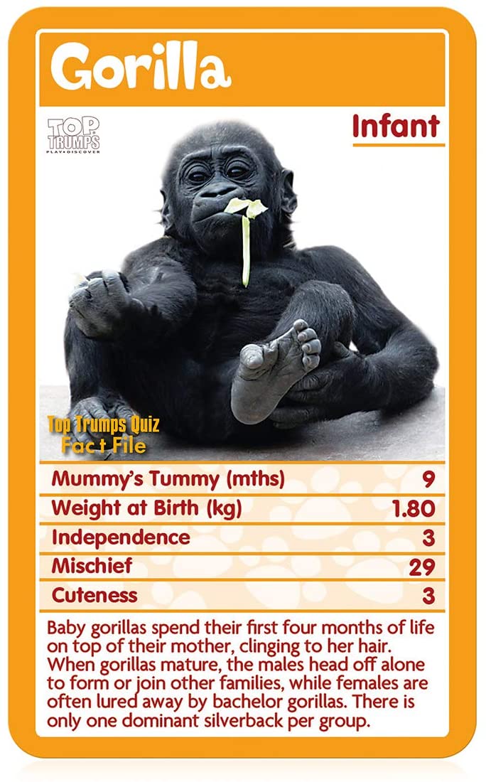 Baby Animals Top Trumps Kartenspiel