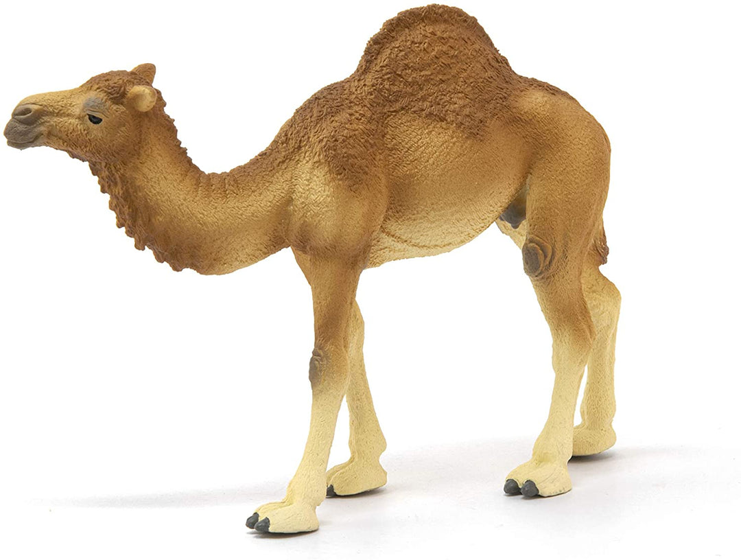 Schleich 14832 Dromedary Wild Life