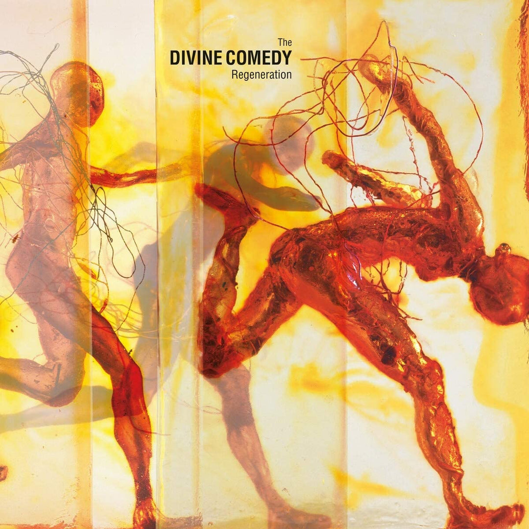 The Divine Comedy - Regeneration [Vinyl]