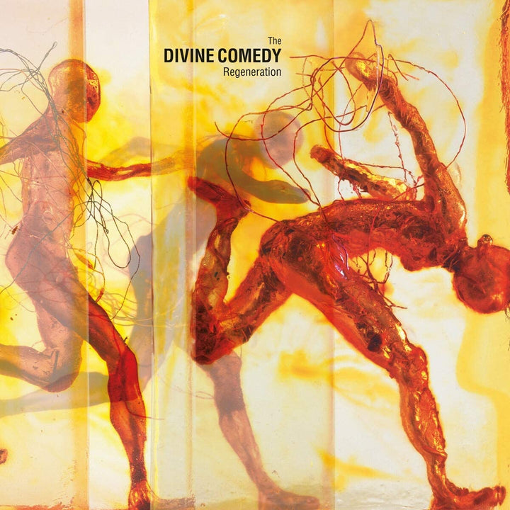 The Divine Comedy - Regeneration [Vinyl]