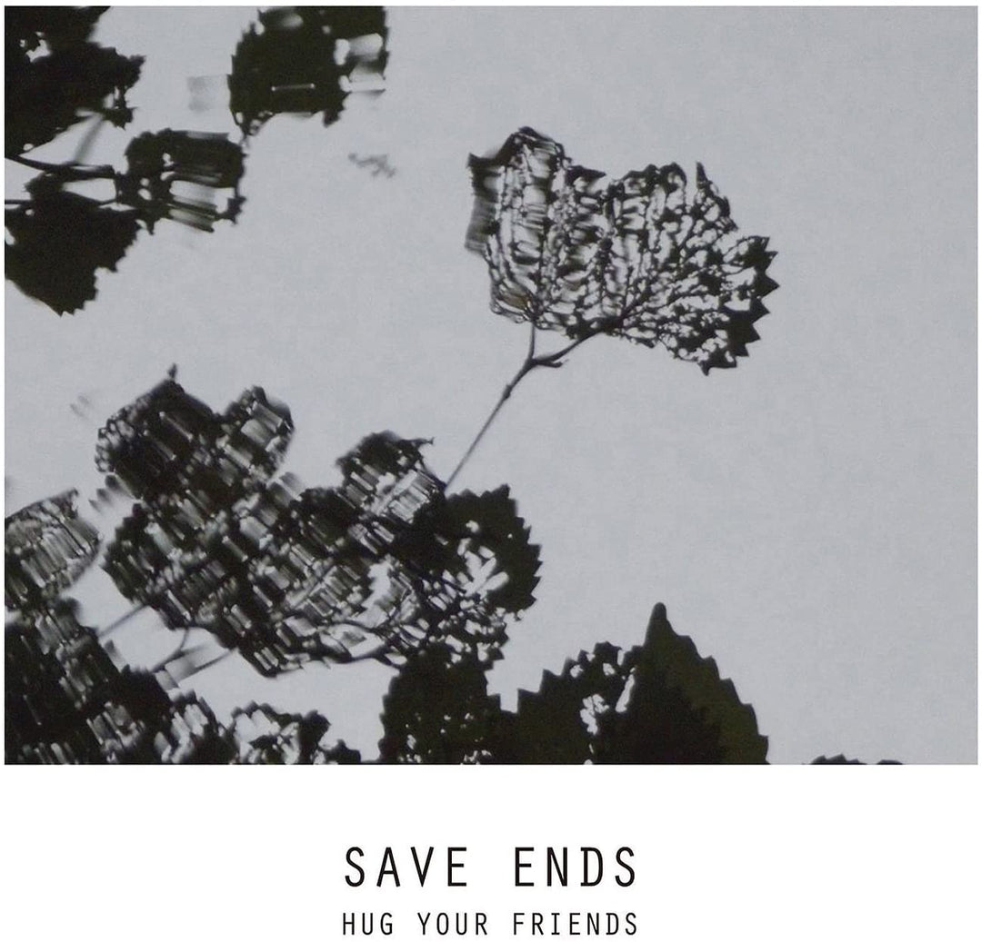 Save Ends - Hug Your Friends [Audio CD]