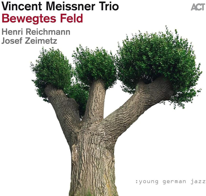 Vincent Meissner Trio  - Bewegtes Feld [Audio CD]