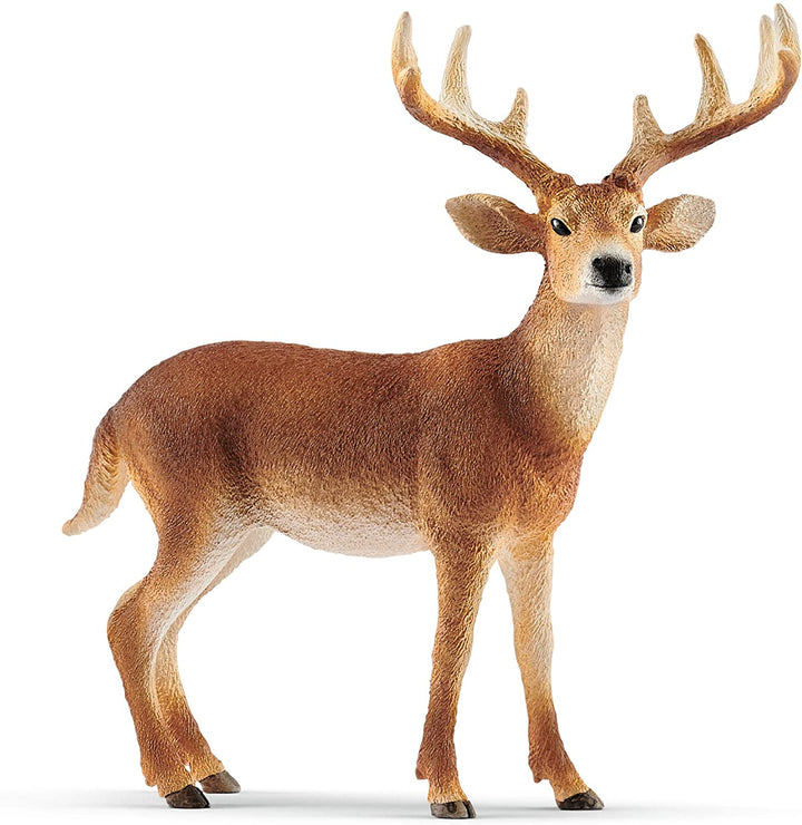 Schleich 14818 White-tailed Buck