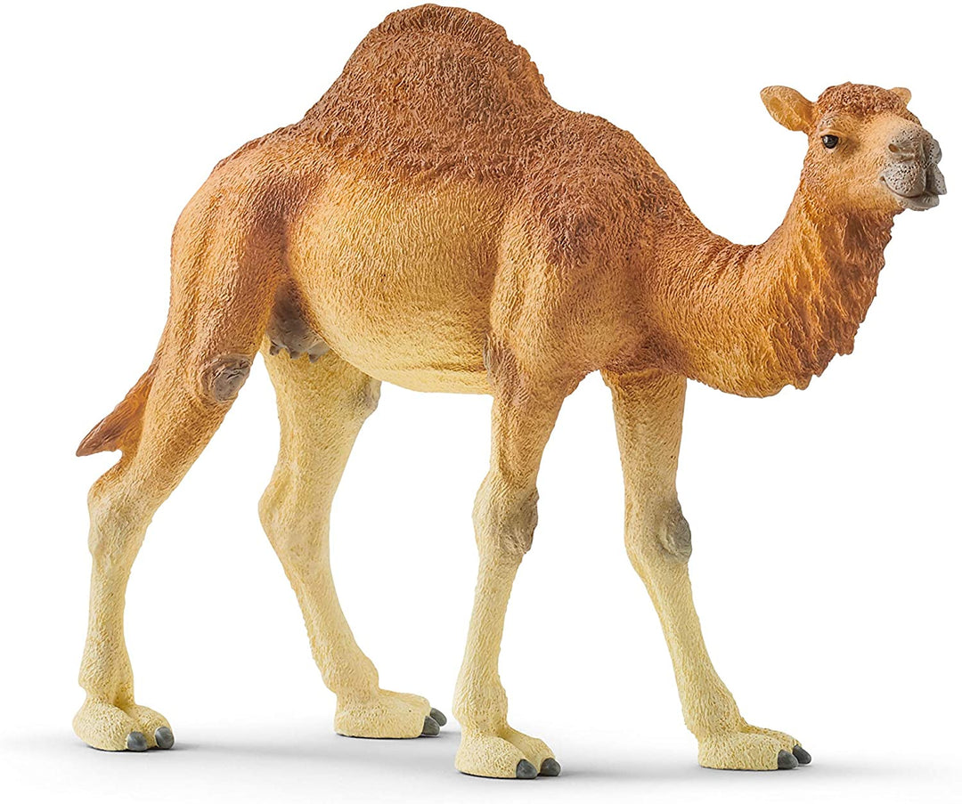 Schleich 14832 Dromadaire Vie sauvage