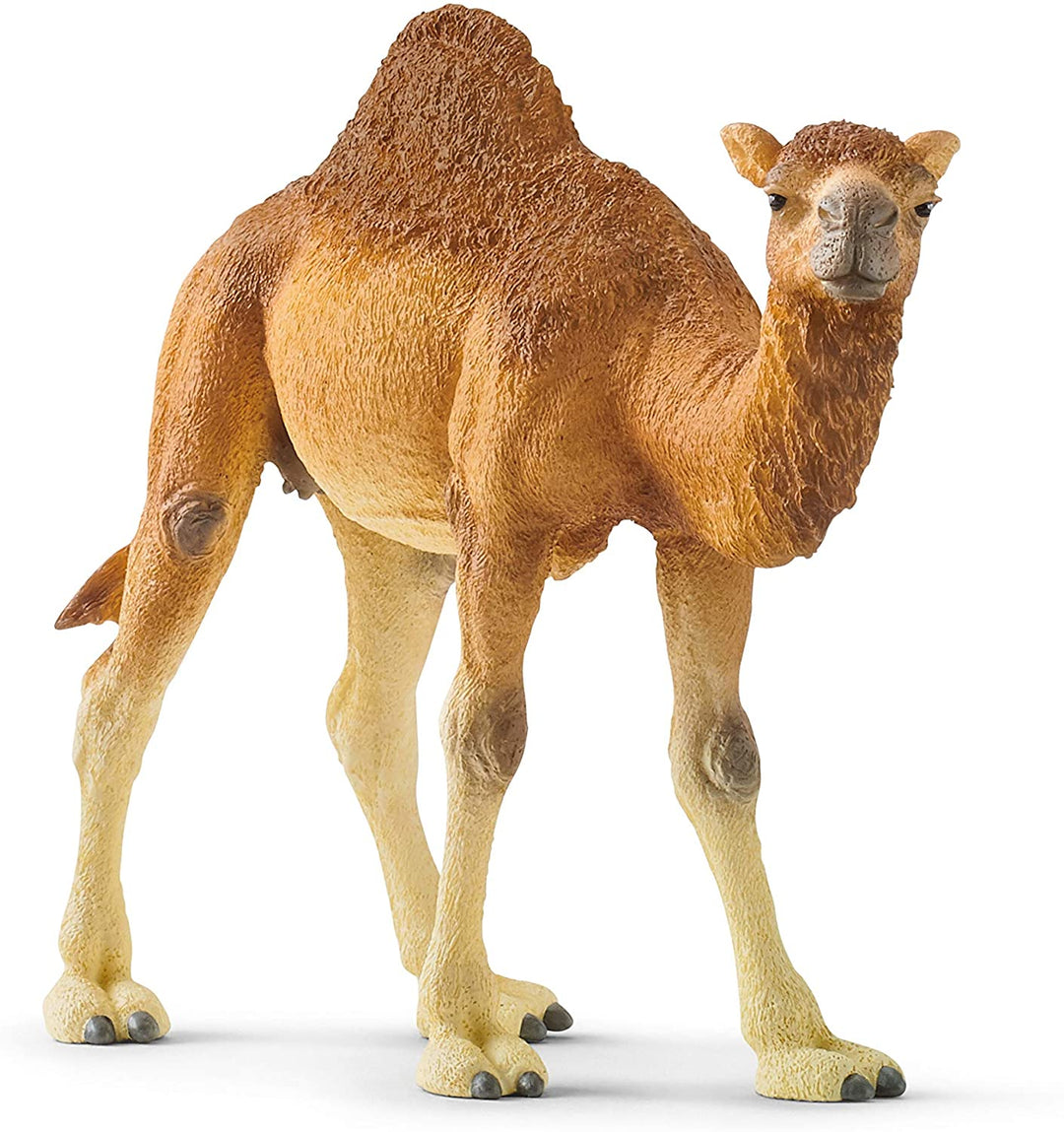 Schleich 14832 Dromedar Wildes Leben