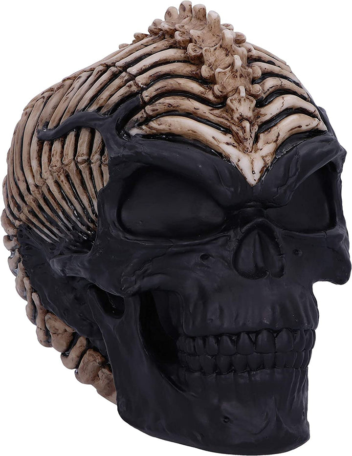 Nemesis Now Officially Licensed James Ryman Spine Head Skull Skeleton Ornament,