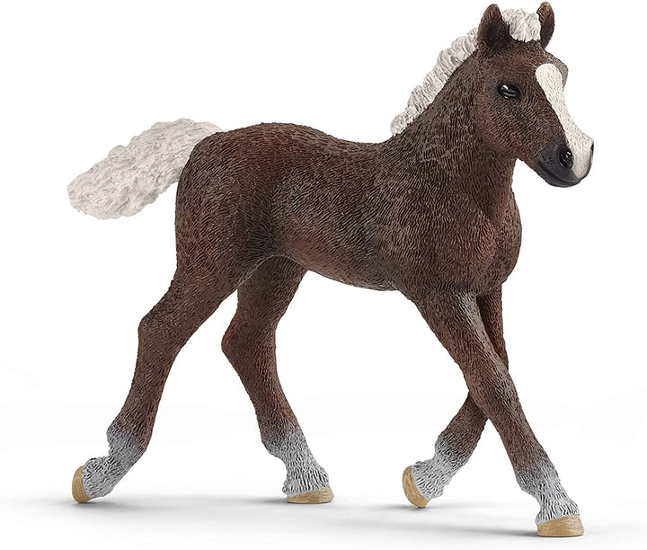 Schleich 13899 Poulain de la Forêt-Noire - Monde agricole