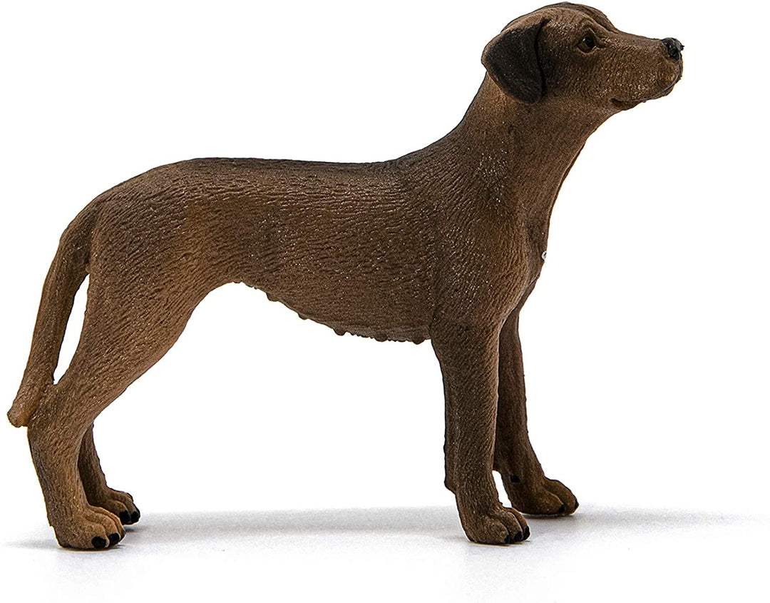 Schleich 13895 Rhod Rhodesian Rid Ridgeback - Le monde de la Ferme