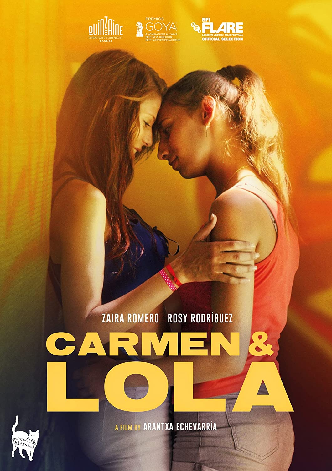 Carmen &amp; Lola - Liebesfilm/Drama [DVD]