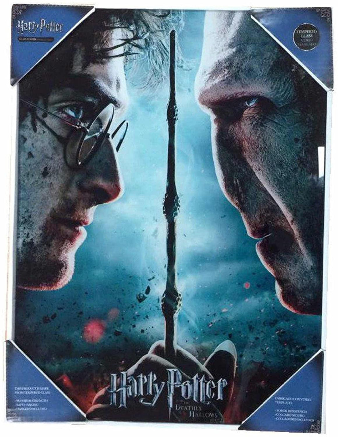 SD Toys Harry Potter und Voldemort Poster, Mehrfarbig, 41x31x3 cm