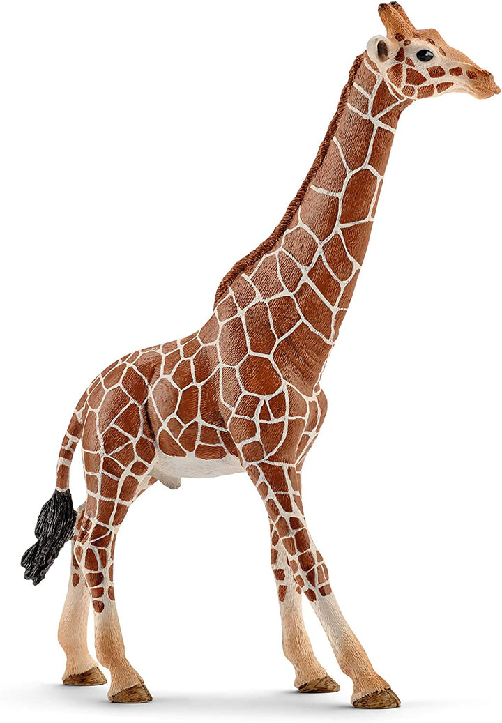 Schleich 14749 Giraffe, Man
