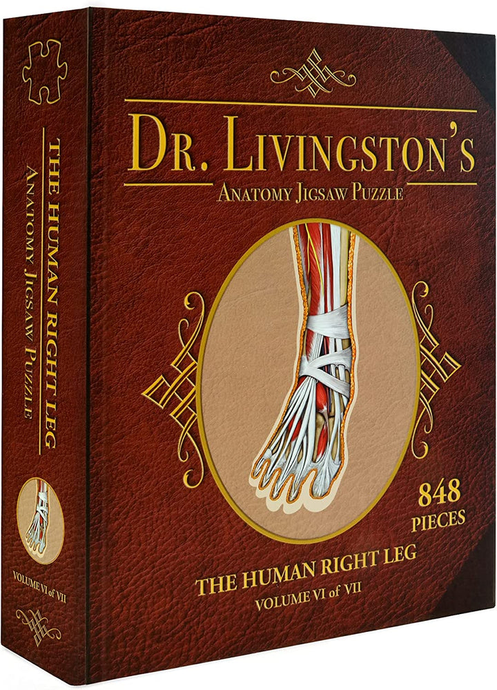 Dr. Livingstons Anatomie-Puzzle: Band IV – Das rechte Bein des Menschen 